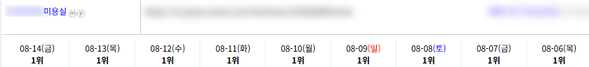 일반/기타 키워드 순위 상승 레퍼런스